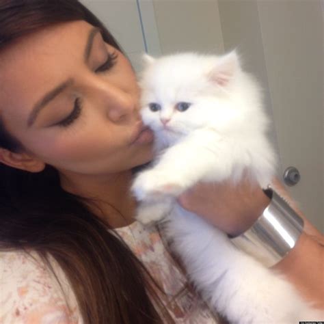 kim kardashian cat breed.